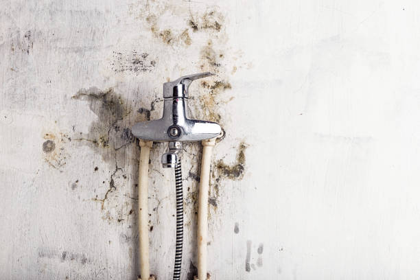 Best Residential Mold Removal  in Halfway House, PA