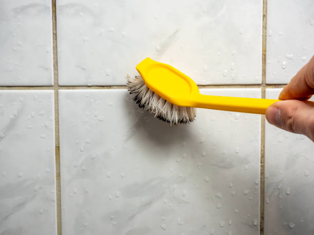 Best Best Mold Removal Companies  in Halfway House, PA