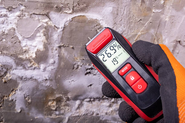 Halfway House, PA Mold Removal Company