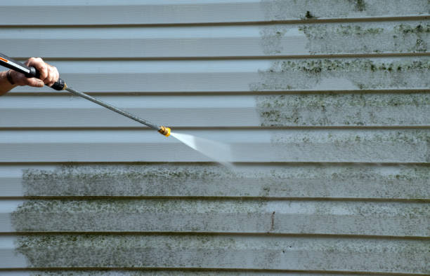 Attic Mold Removal in Halfway House, PA